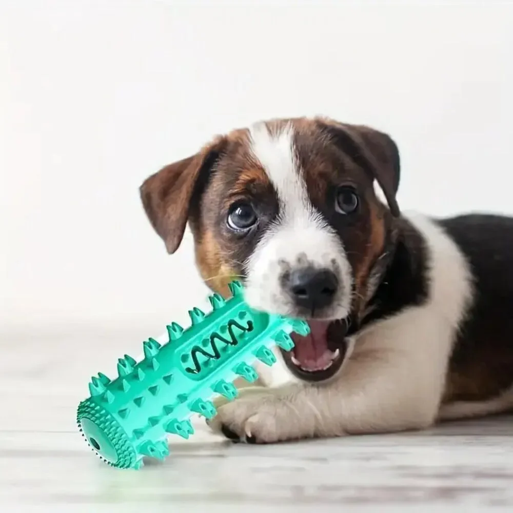 NEW Dog Chew Dental Cleaning Toy Dog Toothbrush Stick